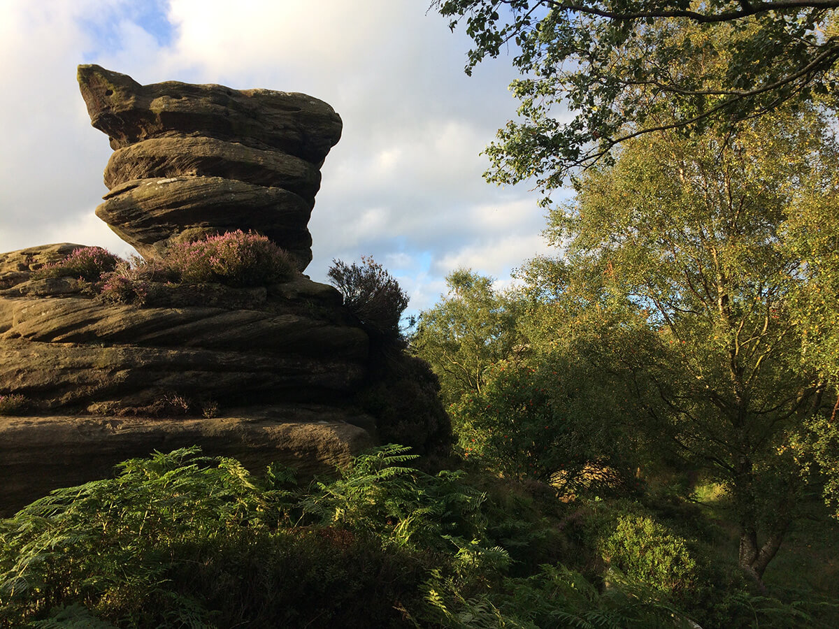 Brimham Rocks