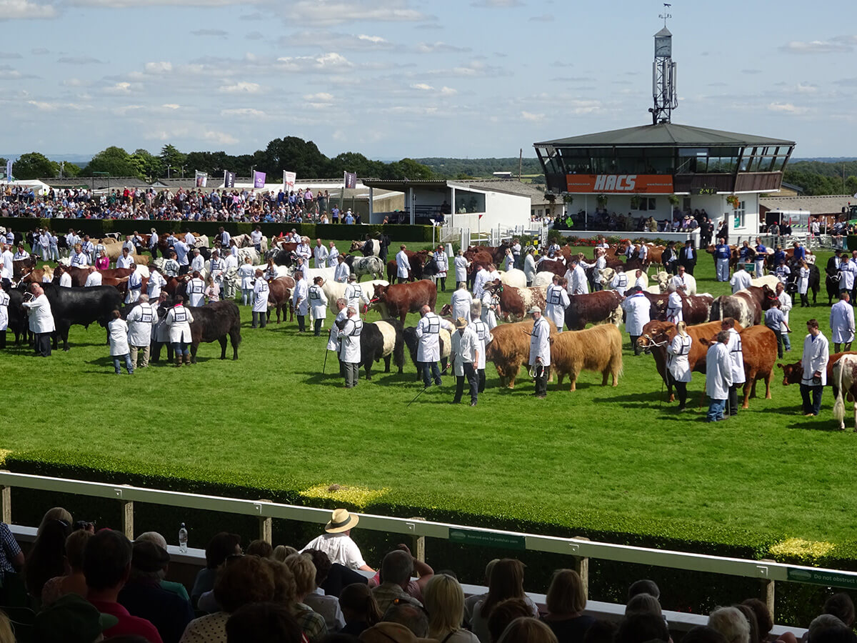 Harrogate